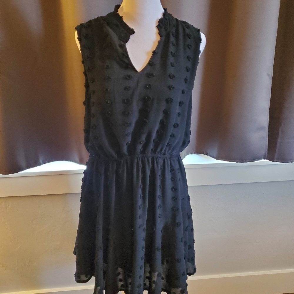 Sweet Wanderer sleeveless  black dress with swiss dot design.